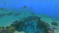 Three Gasopods in the Safe Shallows