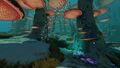 The seafloor of the mushroom forest