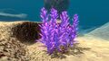 Big Underwater Islands (4).jpg