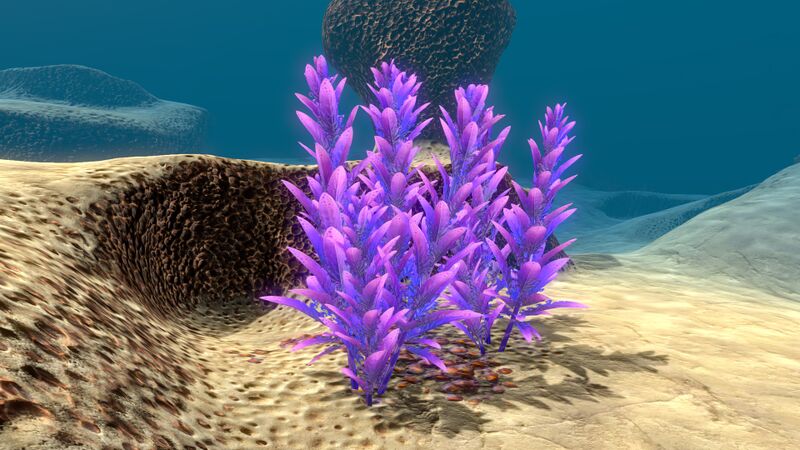 File:Big Underwater Islands (4).jpg