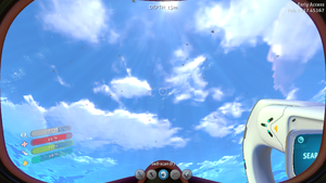 Birds1.png