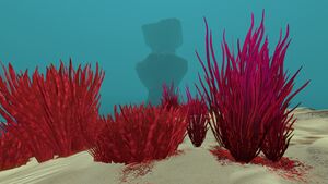 Bloodgrass (1).jpg