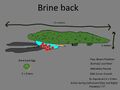 Thumbnail for version as of 13:11, 20 August 2016