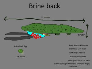 Brine Back Concept.jpg