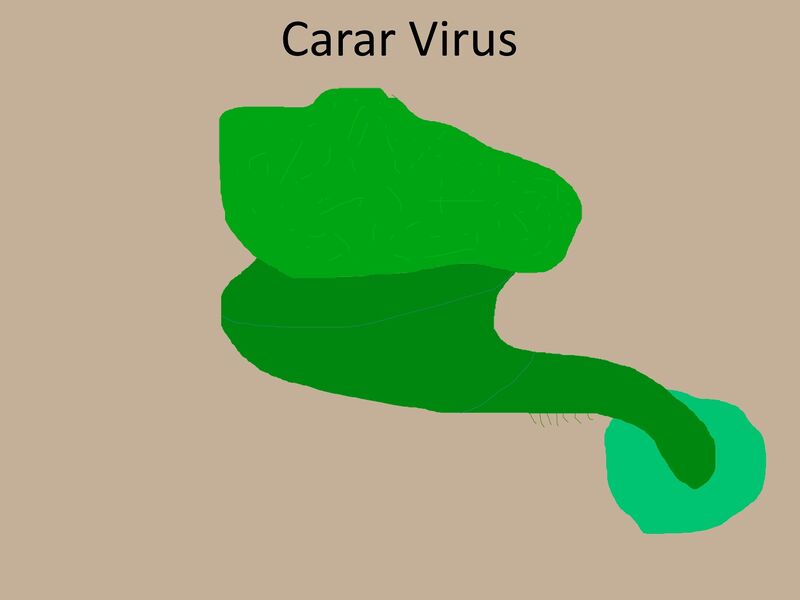 File:Carar Virus Concept.jpg