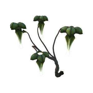 Cliff Lantern Flora.png