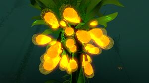 Creepvine (2).jpg