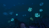 Grand Reef Biome.png