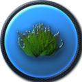 Thumbnail for version as of 08:26, 10 March 2015