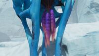 Close up of the Fevered Pepper