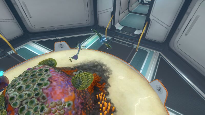 File:Large Aquarium (5).jpeg