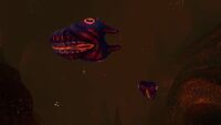 Lava Larva in the Inactive Lava Zone