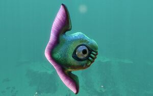 Life-form reginald.jpg