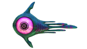 Oculus Fauna-0.png