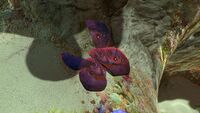 A pile of red Table Coral Samples