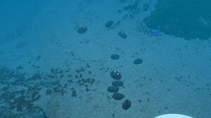 2015-08-19 00005.jpg
