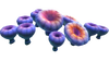 Acid Mushroom Flora.png