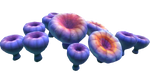 Acid Mushroom Flora.png