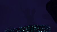 DeepTwisties structure.jpg