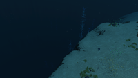 The border with the Northern Blood Kelp Zone
