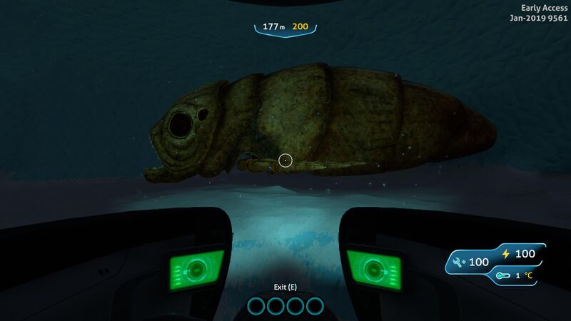 File:FishCorpse.jpg