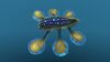 Hoverfish 10.jpg