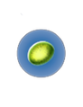 Thumbnail for version as of 22:53, 6 August 2021