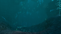 Entrance to the Lost River in the Northern Blood Kelp Zone