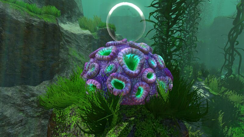File:Purplebraincoral1.jpg