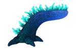 Scaly Maw Anemone Flora.png