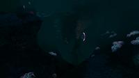 The Deep Grand Reef's Hydrothermal Vents