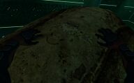 There appears to be a smiley face on the skeletal remains.