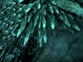 Thumbnail for version as of 23:16, 31 May 2016