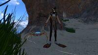 Size comparison with the player