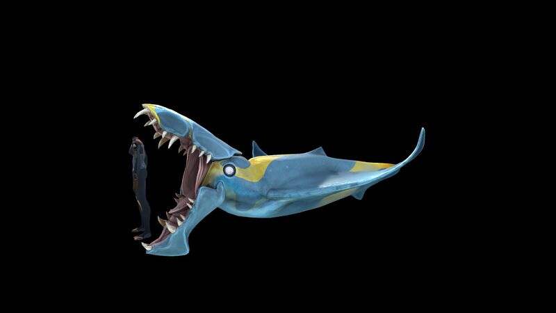 File:Brute Shark Sizeref 2.jpg