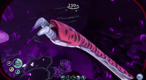 GIF 20240703 101406 442.gif