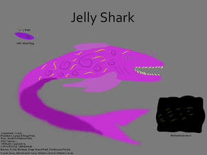 JellySharkConcept.png