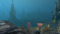 Some of the plants in the Thermal Spires