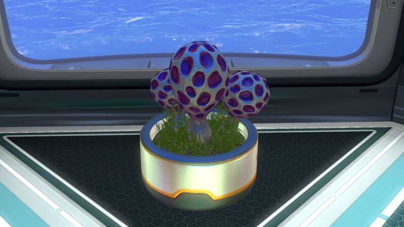 File:Planter Pot (3).jpg