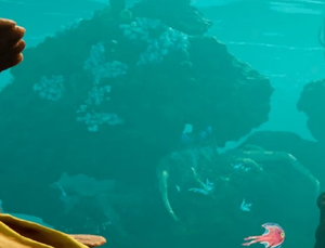 SN2Crab.png