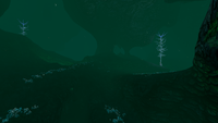 The Blood Kelp Zone opening