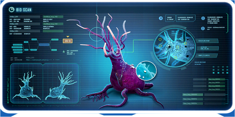 File:Tentacle Plant Ency.png