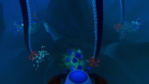 TreeSpiresBigFissure - Entrance 3.jpg