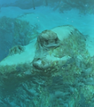 Thumbnail for version as of 09:25, 8 March 2018