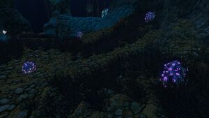 Deep Grand Reef (21).jpg