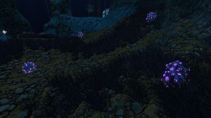 File:Deep Grand Reef (21).jpg