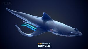 Fox3d-entertainment-squidshark-post-0002.jpg