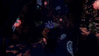 Grassy Plateaus Caves