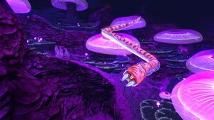 JellyCaves3.jpg
