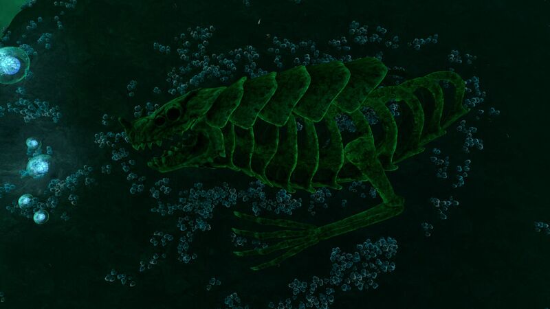 File:Junctiondragonskeleton.jpg